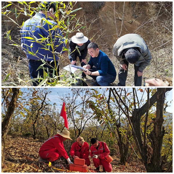 “一改四提”见行动 踔厉奋发创新绩——313地质队夯实土地调查评估服务纪实