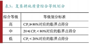 中环物流园智慧化升级调查评估